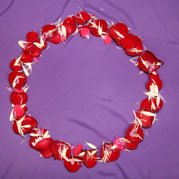 Meet your Posher, Joni - Picture 2 of 2